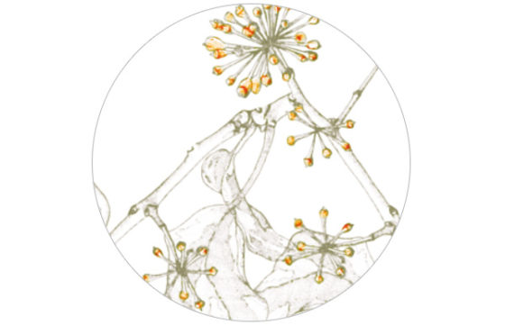 “Ivy“ elegante Garten Tapete in grau