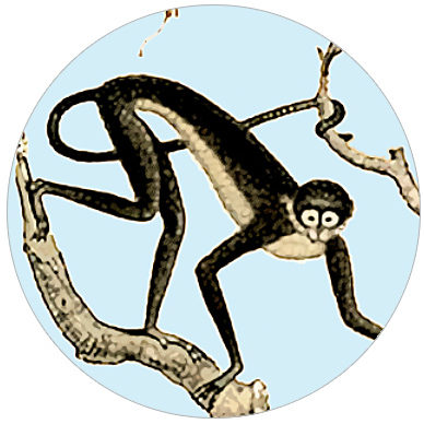 Dschungel Tapete: Monkey Retro Urwald Vliestapete mit Affen