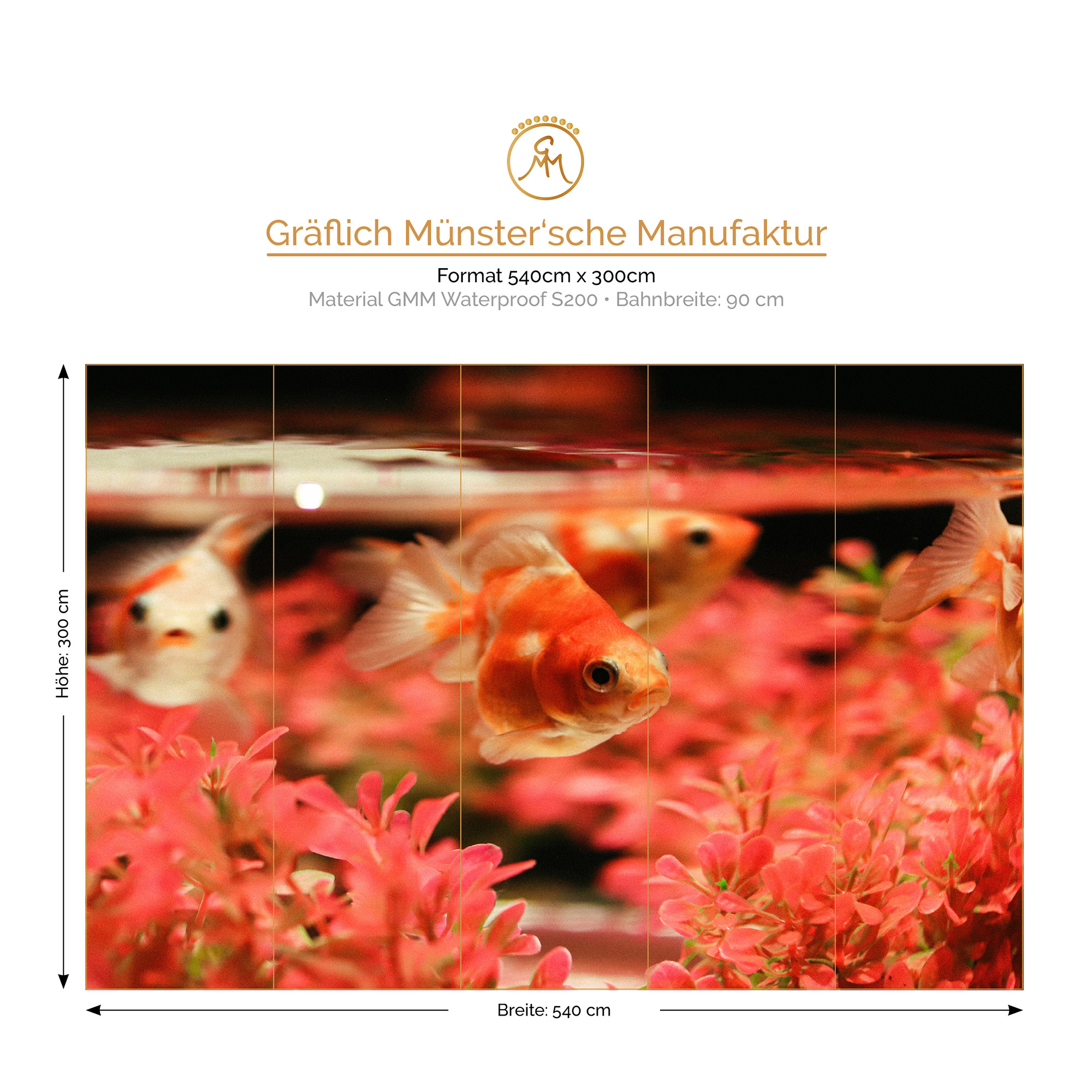 Versiegelbare Tapete Goldfisch Glas