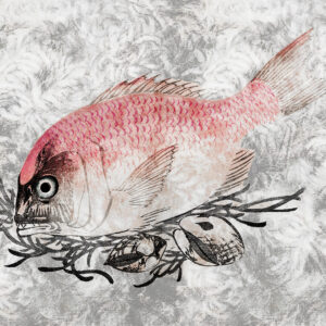 _Fish-Art_kl