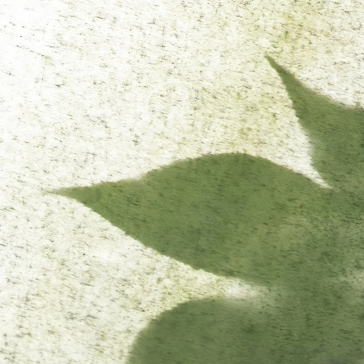 Versiegelbare Foto-Tapete Blätter Schatten