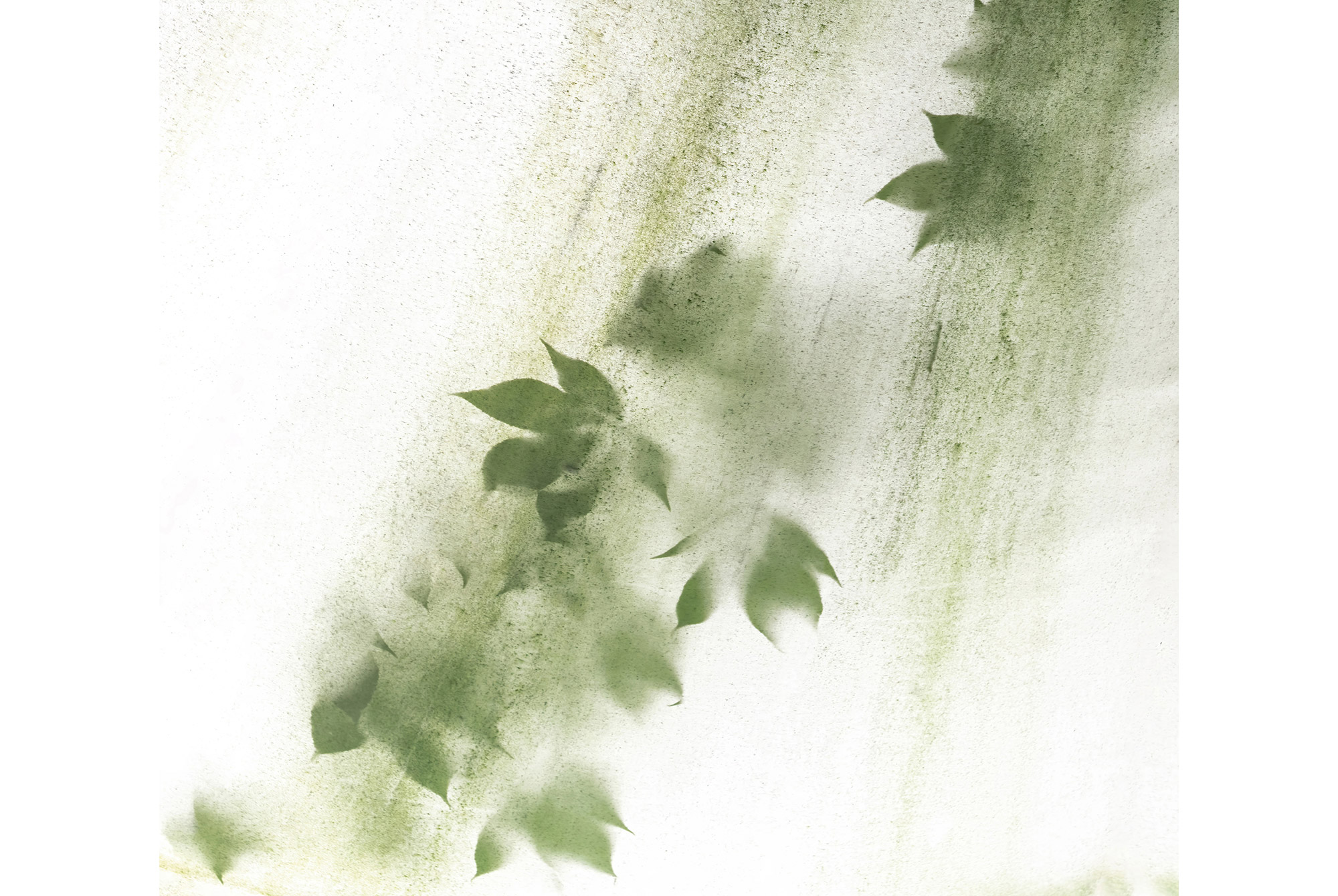 Versiegelbare Foto-Tapete Blätter Schatten