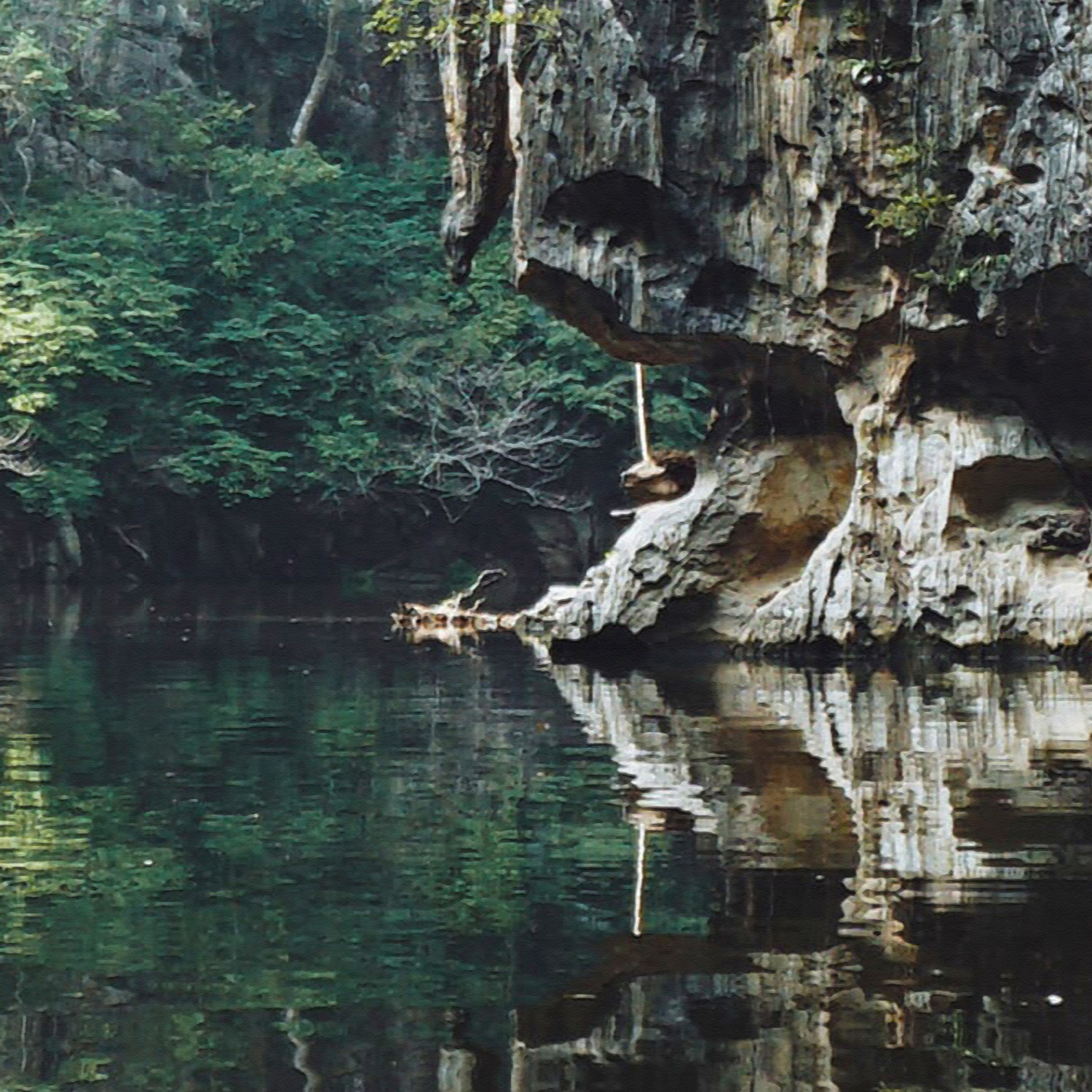 Versiegelbare Foto-Tapete Dschungel See